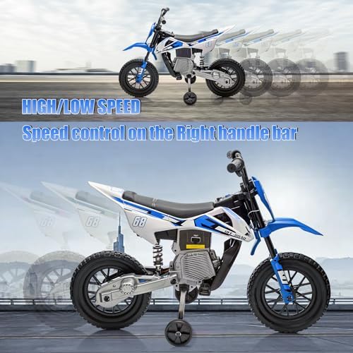 RCTOWN 12V Electric Dirt Bike, Kids Electric Motorcycle with 25W*2 Motor, Twist Grip Throttle, Training Wheels, Spring Suspension, Ride On Toy Car for Kids Over 37 Months (Blue)